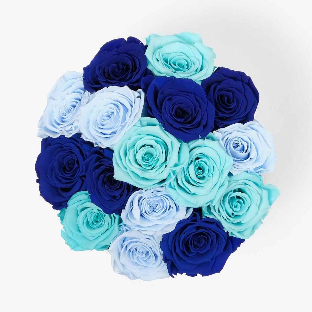 Large Bloom Ombre - Blue Ombre Rose - White Box